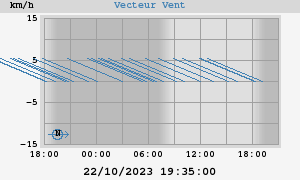 Wind Vector